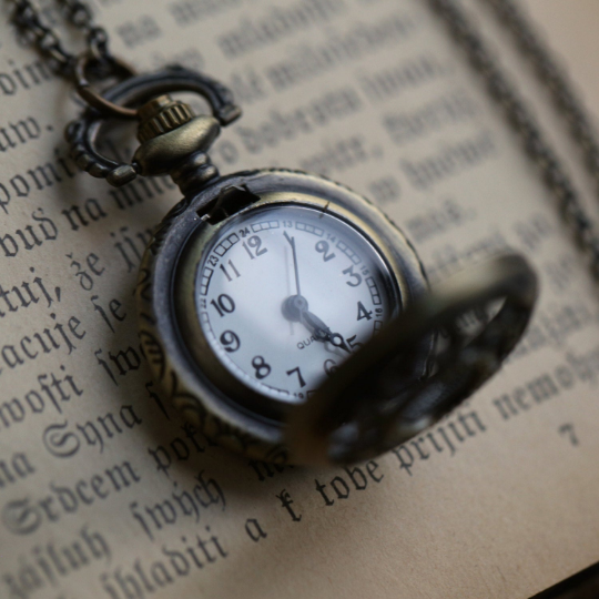 Watch Necklace Dragonfly