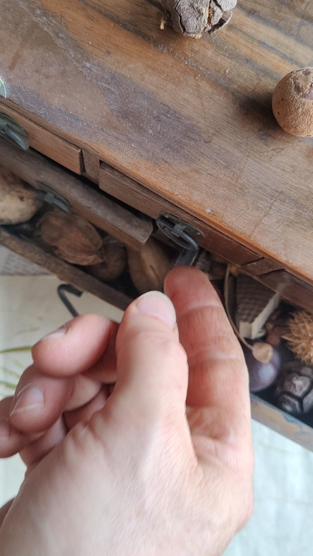 Large Art Nouveau Garden Key with Birds