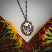 Orange short haired cat cameo on an antiqued brass vintage style necklace by ragtrader vintage. 
