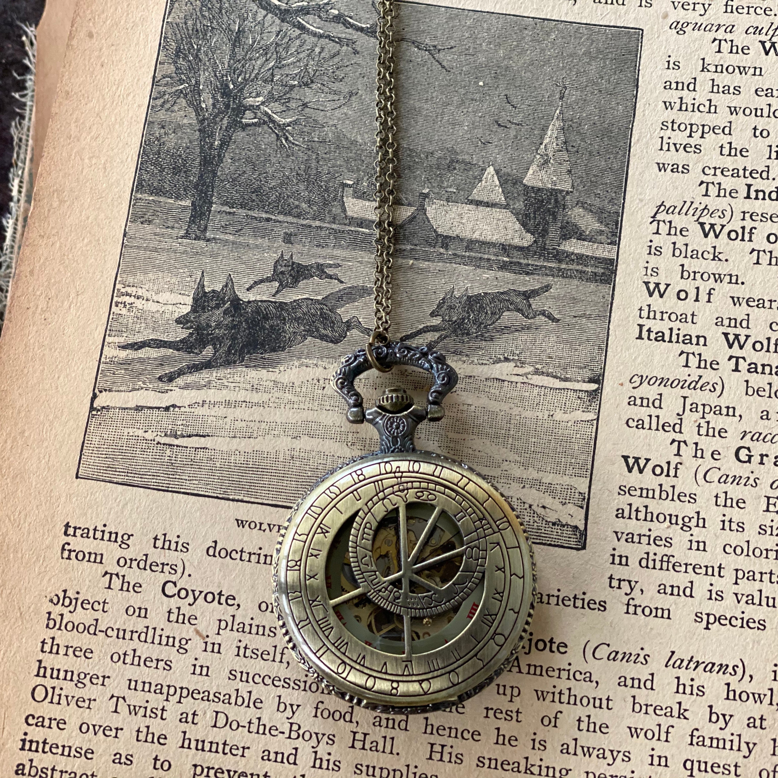 Time Lord Mechanical Pocket Watch